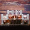 Football Game Super Bowl Fans Whiskey Glass Set