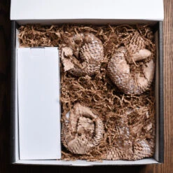 Heart And Initials Crystal Purity Wine Carafe Set Wedding Gift -crystal imagery shop InteriorOfBox 1 883ded99 d584 42d6 be37 12f2ba19a39a