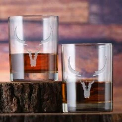 Texas Longhorn Steer Skull Rocks Glass Set Of 2