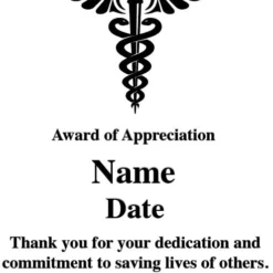 Medic Doctor Nurse Physician Wall Plaque Recognition Award Laser Etched -crystal imagery shop Medic Verbiage